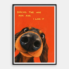 Dachs The Way — Taidevedos pystysuunnassa #01